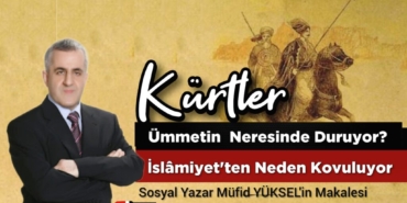 IMG_20240728_034302-1024x636