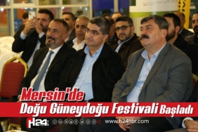 IMG_20241122_163904