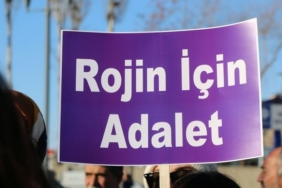 rojin-kabais-van