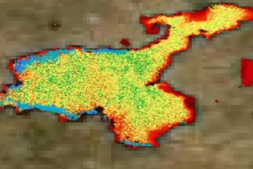 van-golunun-rontgeni-cekildi-canli-yasami-bitecek-tx4b
