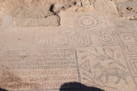 906038Image1