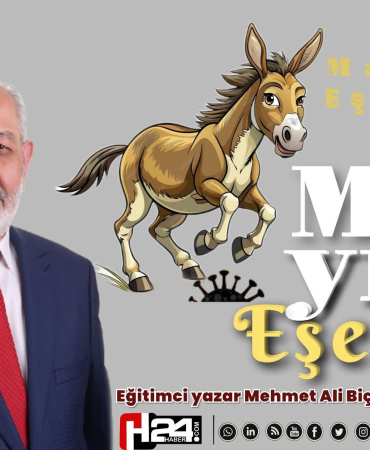 FB_IMG_1767403186634