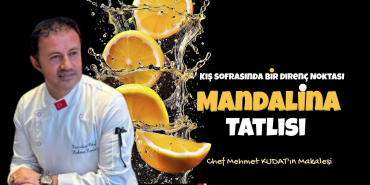 FB_IMG_1769508530096