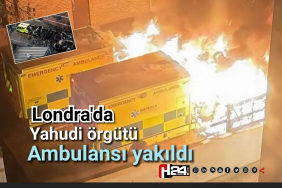 FB_IMG_1774446156649