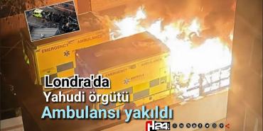 FB_IMG_1774446156649