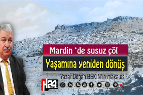 672325449_1561857602612476_7538543279791923673_n