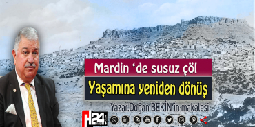 672325449_1561857602612476_7538543279791923673_n