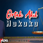 7c0eb567-a74e-4ff8-b252-23923929e047