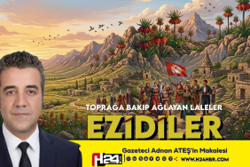 FB_IMG_1775944046426