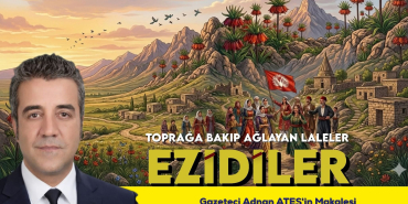 FB_IMG_1775944046426