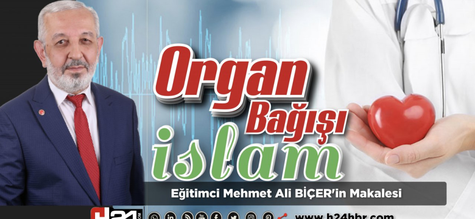 fef2b300-de8c-41d3-a439-fd6bd792d44d