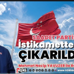 FB_IMG_1779064315345