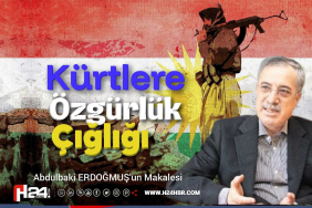 FB_IMG_1780221939902