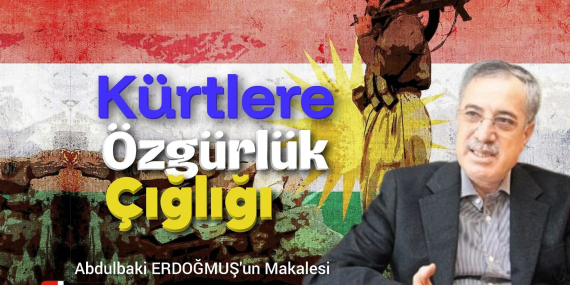 FB_IMG_1780221939902