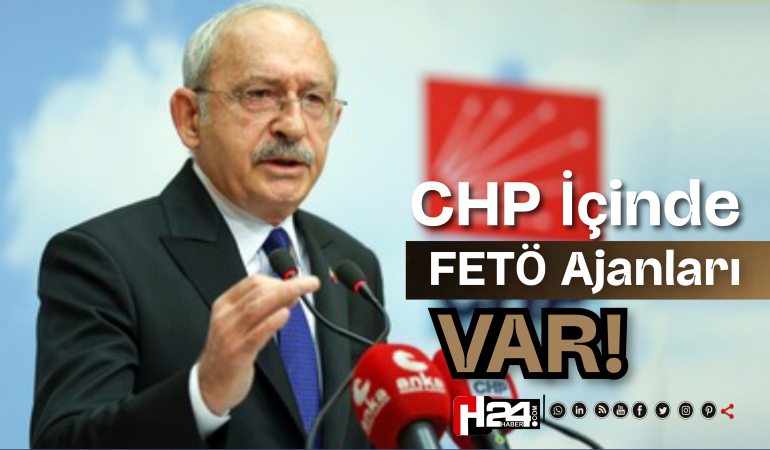 IMG_20260531_010452