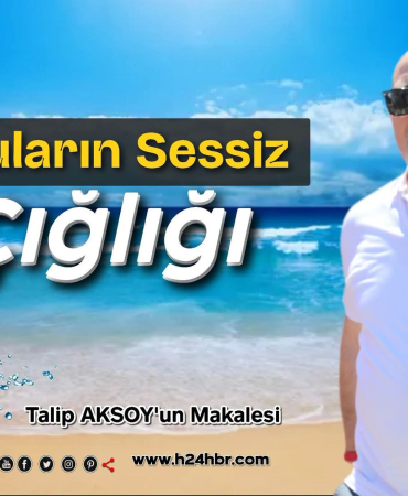 FB_IMG_1782999982789