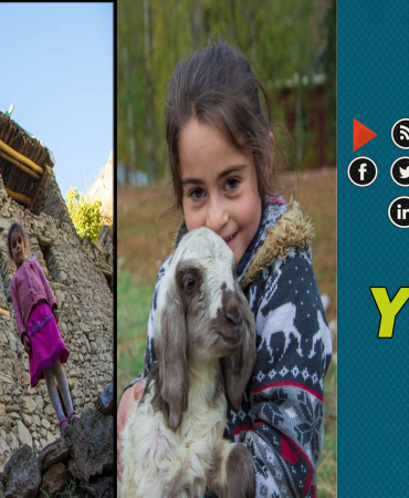 yasam doga