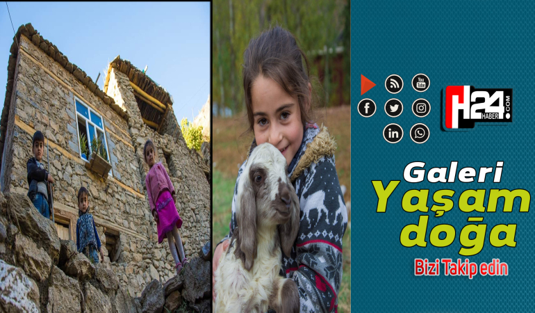 yasam doga