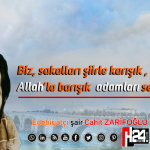 zarifoglu (3)