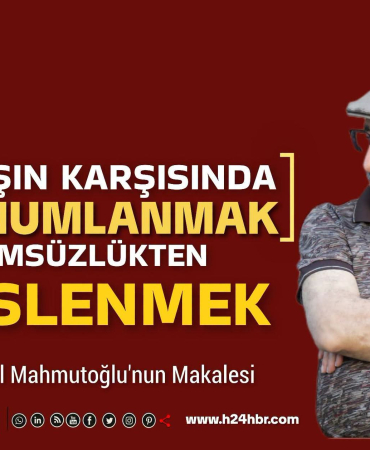 FB_IMG_1786893237823