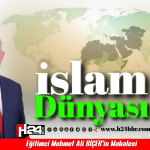 İSLAM DÜNYASI