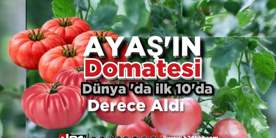 AYAŞ Domatesi Dünya Listesine Girdi