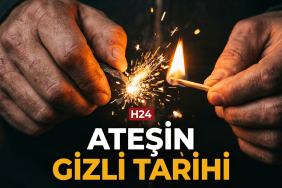 IMKCpHN29q7CE